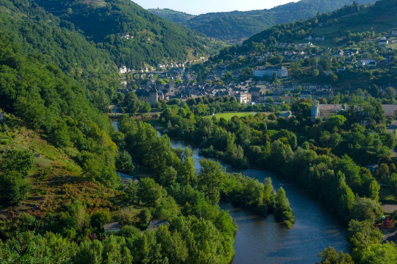 Residence Goelia Les Gorges De La Truyere 昂特赖格·苏尔·特鲁耶 外观 照片